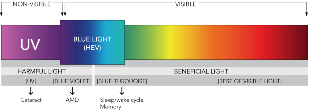 Explanation of blue light (HEV) and why it is harmful to our vision. 